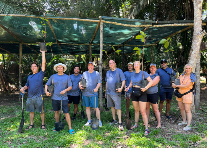 Maggie Sottero employees planting trees in Costa Rica for reforestation efforts